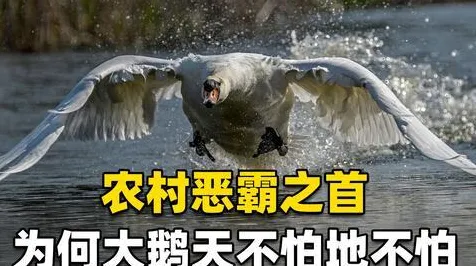 平头哥突破性技术引爆智能制造革命，效率飙升352.1%背后的底层逻辑解析