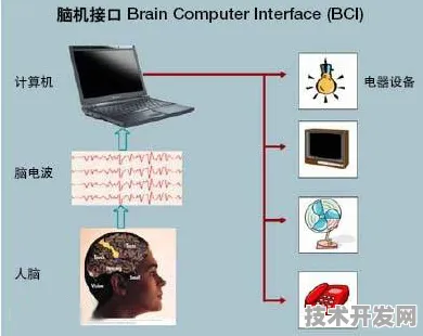 壁仞科技脑机接口性能暴增61.0%开启人机交互新纪元