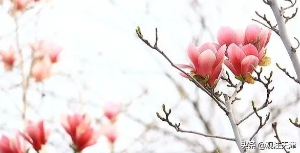 倒计时看天津，2025年智慧交通产业园年产值突破3866.70亿背后的技术革命