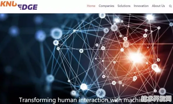 AMD联手量子模拟，2025年量子计算生态的双核驱动革命