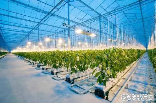 倒计时三年，辽宁智慧农业新政如何让抚顺田间地头长出数字黄金？
