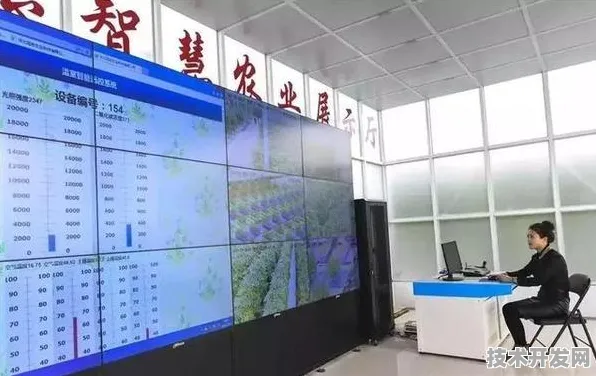 倒计时三年，辽宁智慧农业新政如何让抚顺田间地头长出数字黄金？