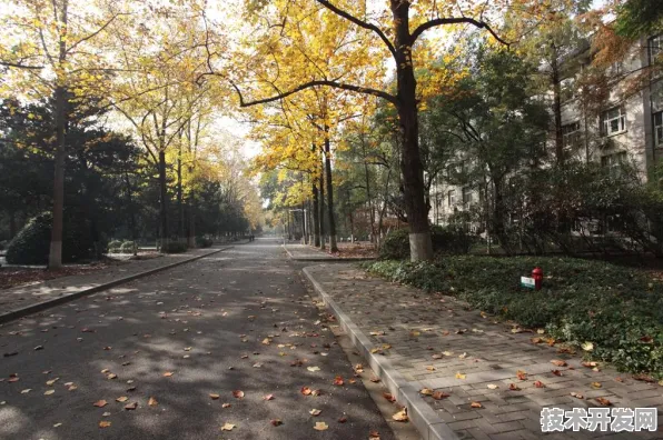美团智能革命，402.0%效率飞跃背后的技术重构与行业未来