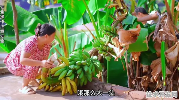 大香蕉视频在线观看全站版-大香蕉视频在线观看正式版v.
