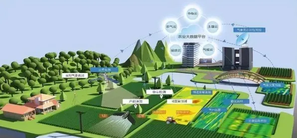 从田间地头到数字云端，浙江智慧农业新政如何重塑未来农业版图—2025年温州试点数据揭示产业变革密码