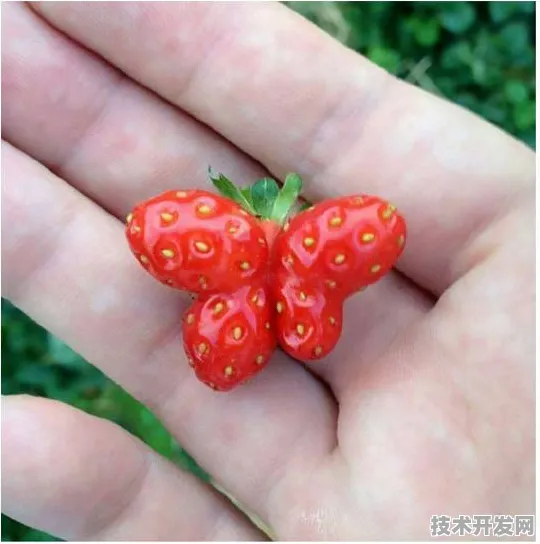 鸭脖草莓丝瓜芭比污视频全站版-鸭脖草莓丝瓜芭比污.