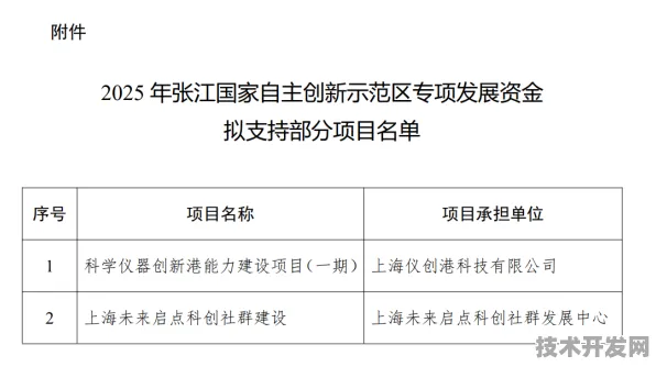 申城技术前沿：睿智化学研发新型卫星互联网技术，获上海市专项扶持，效率提高张江国家自主创新示范区%
