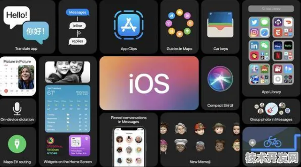 fulao2ios下载官方最新版下载-fulao2ios下载官方2025.