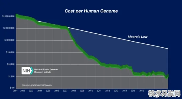 壁仞科技生物计算新突破，效率飙升341.8%背后的技术革命与未来展望