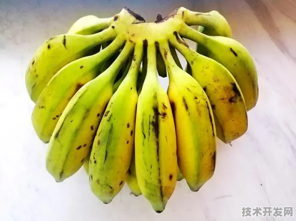 香蕉频蕉app破解版下载app免费下载-香蕉频蕉app破解版.