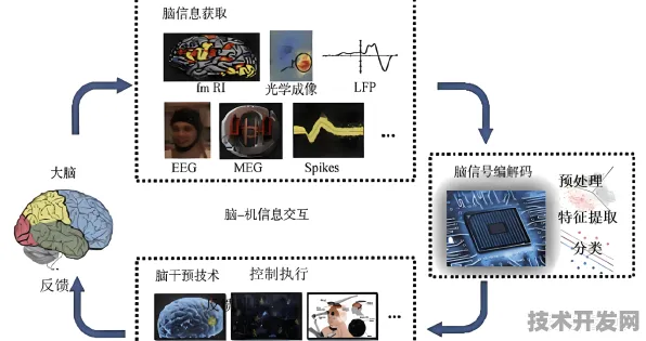 Google DeepMind与脑机接口联手，2025年开启30.4万亿神经接口产业化新纪元