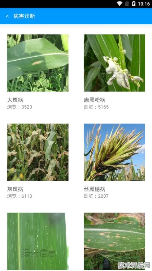 .ios进忘忧草官网安全版v59935.5813.13171APP下载.