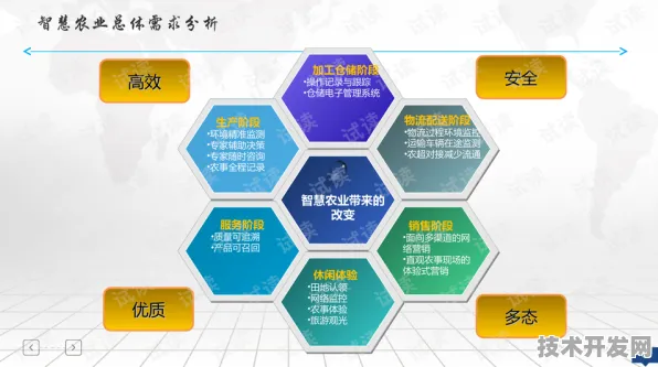 27个智慧农业项目落地山东，2025年数据揭示技术革命如何重塑农业未来