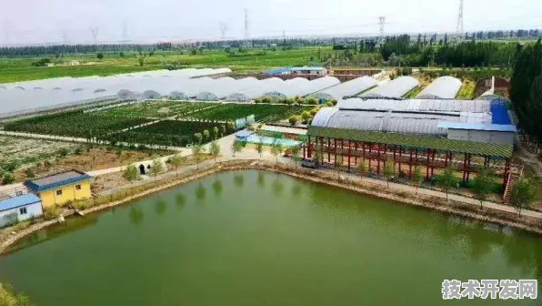 倒叙看石嘴山，全国首个智慧农业产业园如何铸就年超3266.7亿产值传奇
