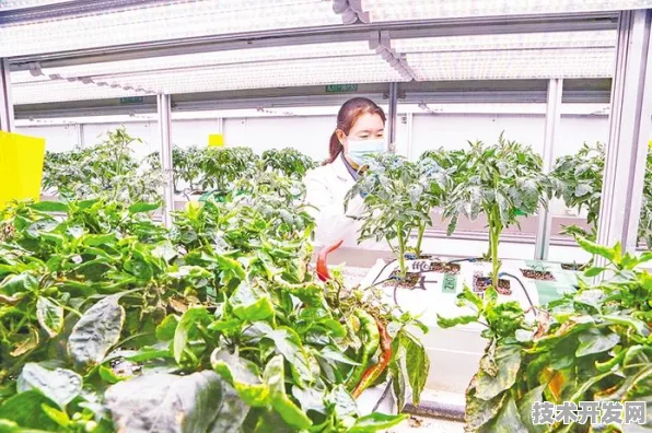 倒叙看石嘴山，全国首个智慧农业产业园如何铸就年超3266.7亿产值传奇