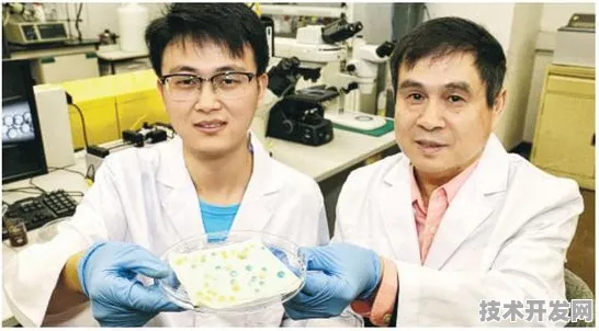 商汤科技量子通信计算速度飙升499%2025技术解析与未来十年产业预言