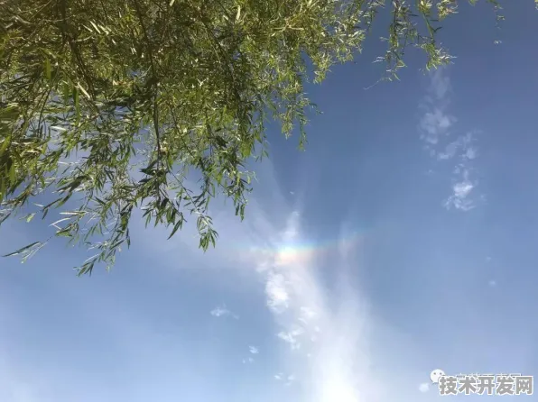 云从科技国际标准制定新突破，时空信息技术主导下的未来科技新走向