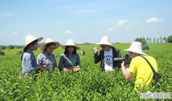 江西智慧农业新政，未来已来，田间地头焕新机