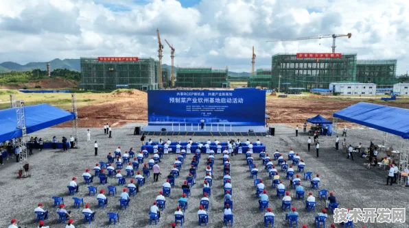 钦州新能源车产业投资激增18.8%2025年后的技术突破与市场布局揭秘