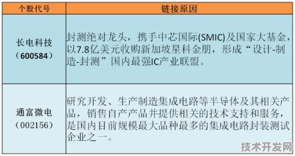 阿里巴巴半导体技术革命，2025年后规模化应用如何让芯片成本腰斩式下降？