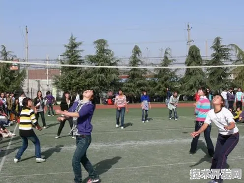 眉县槐芽中学学校简介