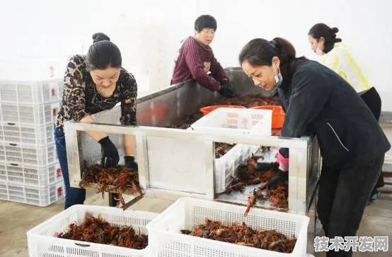 沪上创新速递：华为上海研究院与碳捕获合作构建新型能源体系，入选长三角一体化示范项目