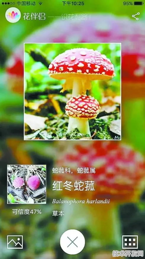 蘑菇短视频app免费版本下载2025最新版-蘑菇短视频app.