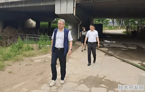 澜起科技突破国际标准话语权，从参与者到网络安全主导者的技术跃迁与未来图景