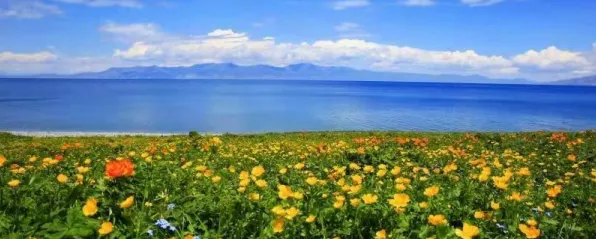 西安低空经济，从试点到引领，未来已来？