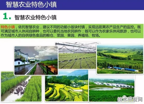 倒计时三年！安徽184个智慧农业项目如何改写中国农业未来？黄山现场直击2025年9月19日关键节点