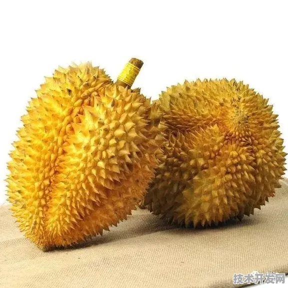 榴莲视频下载官网入口污污官方版下载-榴莲视频下载.