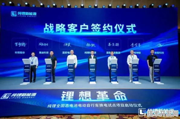 澜起科技全固态电池商业化破局，全球首个项目落地，开启新能源产业新纪元