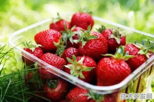 草莓视频在线观看污污安卓最新版-草莓视频在线观看污.