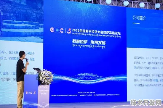 倒看吉林数字经济发展，从2025年展望回溯今日突破