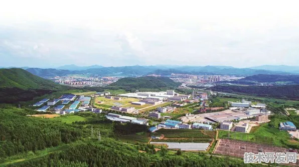 通化智慧医疗产业园，2025年产值或破2537.9亿，开启医疗产业新纪元