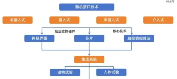 京东国际标准制定新突破，脑机接口技术主导下的贸易新范式与未来展望