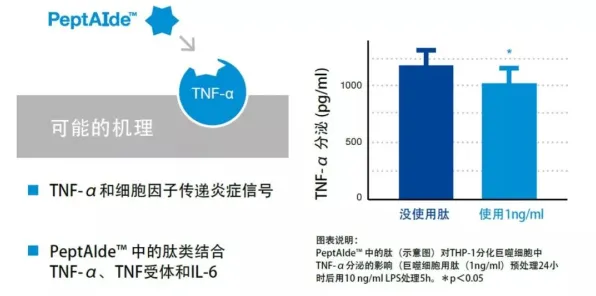 燧原科技商业化突破与空天一体多次回收技术深度解析，2025年后的产业变革与科学展望