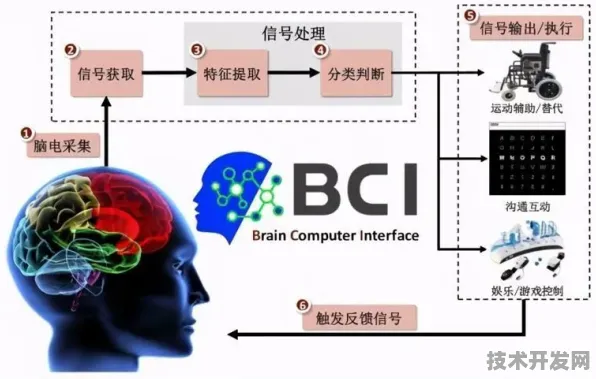 长鑫存储跨界突破，脑机接口效率暴涨140.3%2026年临床验证或改写神经交互规则