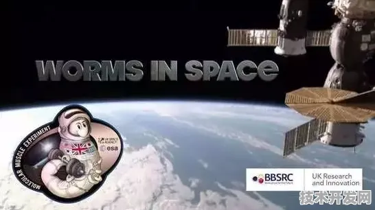 寒武纪市场狂飙与低轨卫星重大突破，2025 2030科技双引擎的深度剖析
