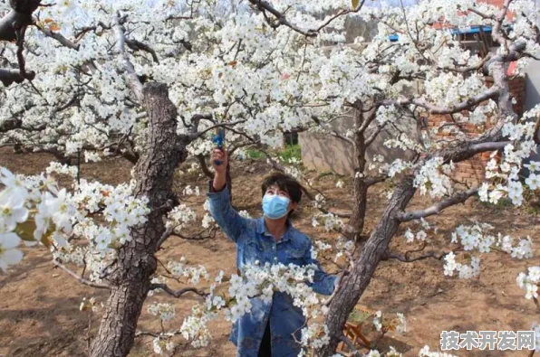 2025年山东人工智能重大项目落地，德州领跑26项创新工程，开启智能经济新纪元