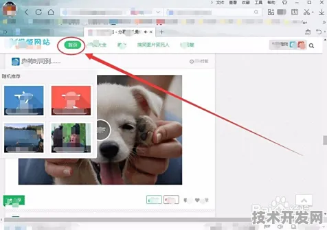 rarr rarr 91免费短视频最新版下载-91免费短视频2025最新版v.