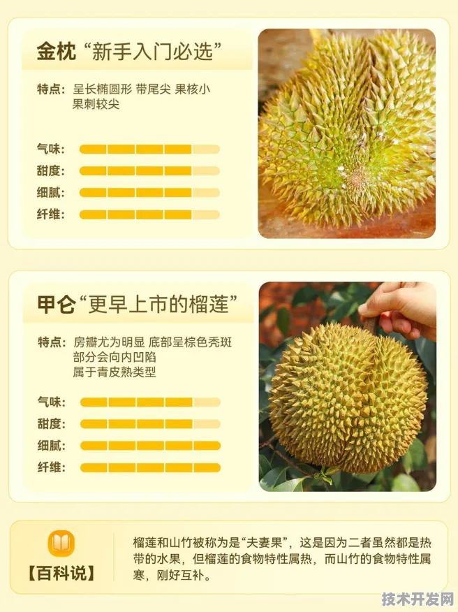 榴莲网站下载安装IOS Android通用版 手机APP最新版v.