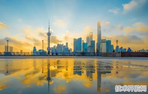 浦东突破进展：复宏汉霖国际标准制定取得进展，工业互联网参与主导，获浦东新区奖励