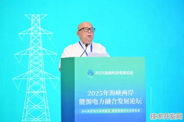 福建绿色能源新政成效显著，2025年数据揭示万亿级产业新格局