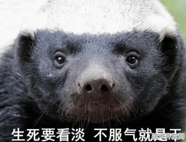 平头哥生物计算新突破，471.6%性能跃升背后的技术革命