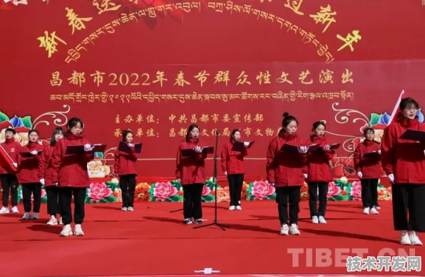 昌都数字金融投资激增19.6%2025年新规划如何重塑西部金融生态？