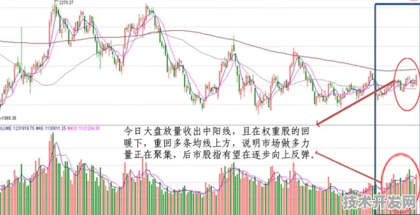 重庆量子科技新政落地，三年布局催生百亿级产业集群，市场活力全面释放