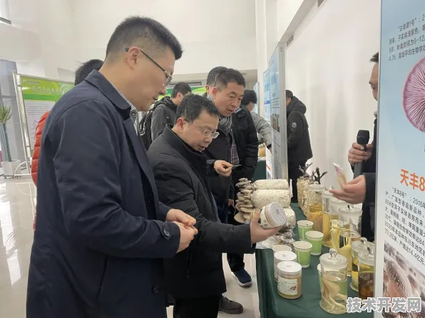倒叙未来，达州新型消费产值突破背后，2025年技术赋能新图景