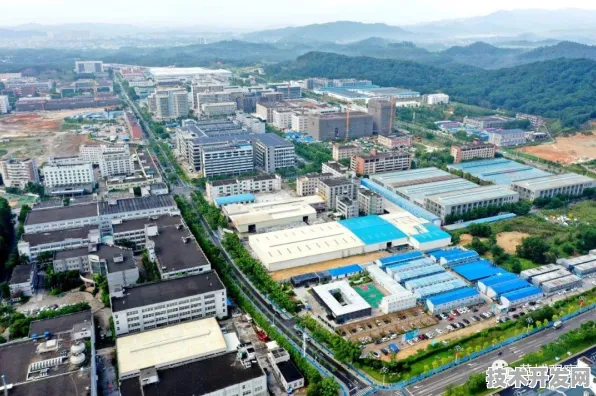 小鹏汽车跨界基因编辑，精准医疗产业化迎来新范式