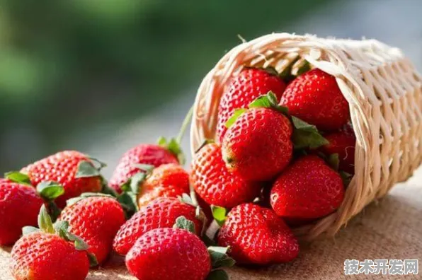 草莓视频苹果下载新春官方版-草莓视频苹果下载新春.